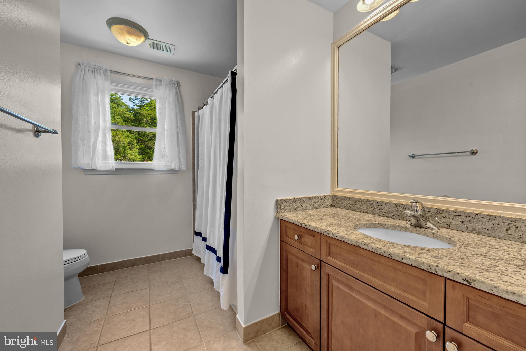 1077 Spring Hill Road McLean, VA 22102 - Photo 41 of 59 Full Bath