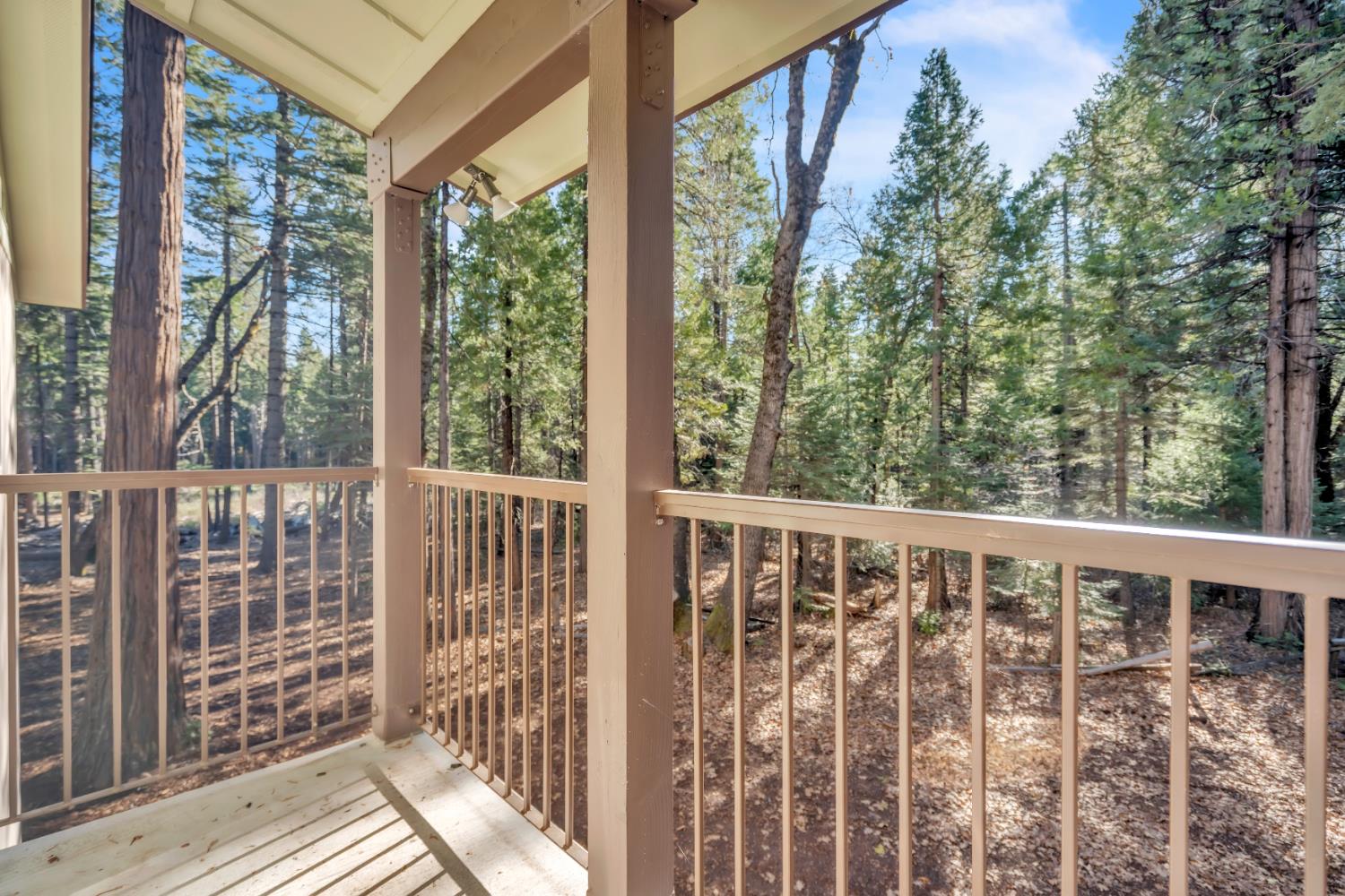 740 Hideaway Loop Alta, CA 95701 - Photo 31 of 74