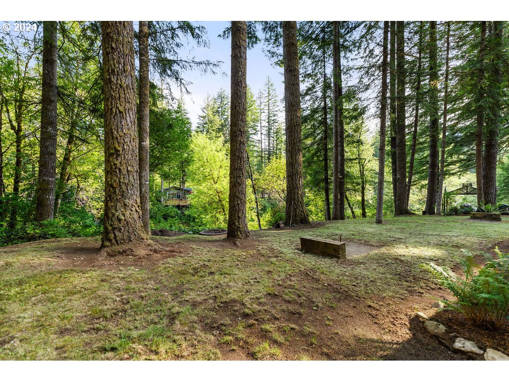 30693 Northeast Olson Road Yacolt, WA 98675 - Photo 33 of 48 Gallery Image 33