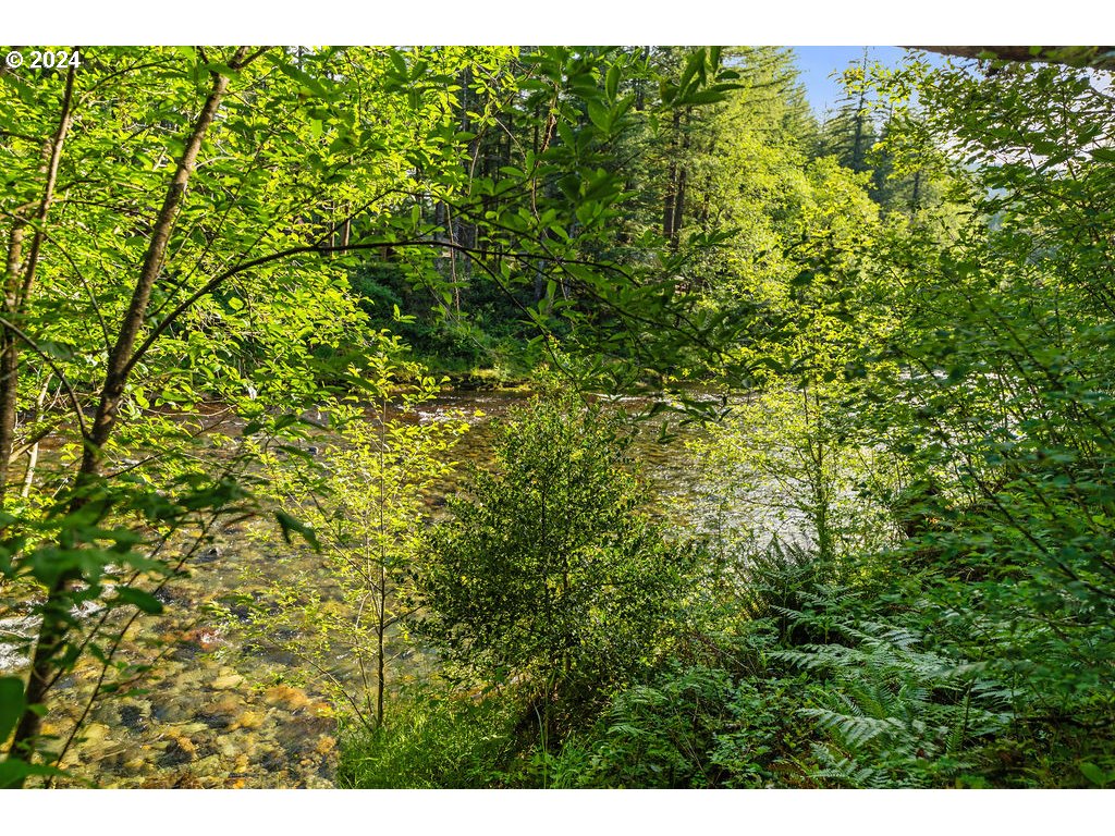 30693 Northeast Olson Road Yacolt, WA 98675 - Photo 37 of 48 Gallery Image 37