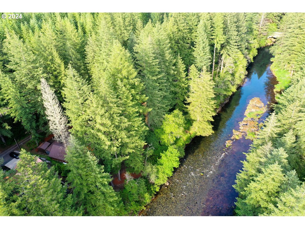 30693 Northeast Olson Road Yacolt, WA 98675 - Photo 43 of 48 Gallery Image 43