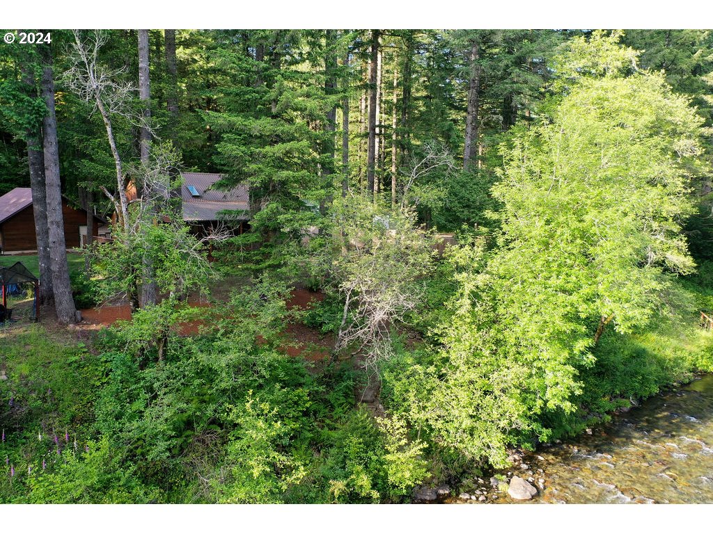 30693 Northeast Olson Road Yacolt, WA 98675 - Photo 46 of 48 Gallery Image 46