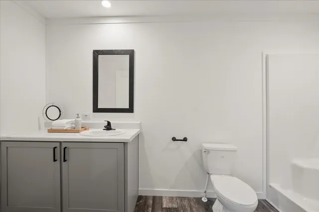 a bathroom with a toilet a sink and mirror