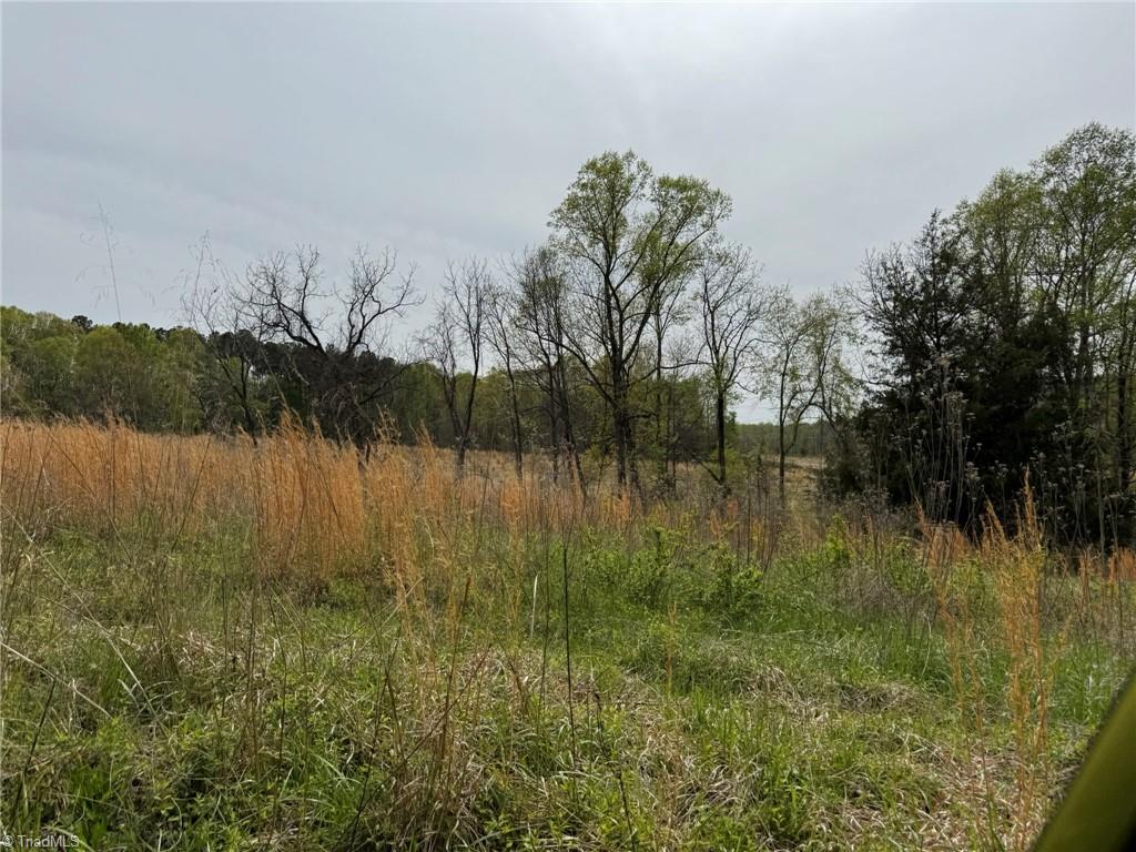 6988 Salem Chapel Road Walnut Cove, NC 27052 - Photo 26 of 38