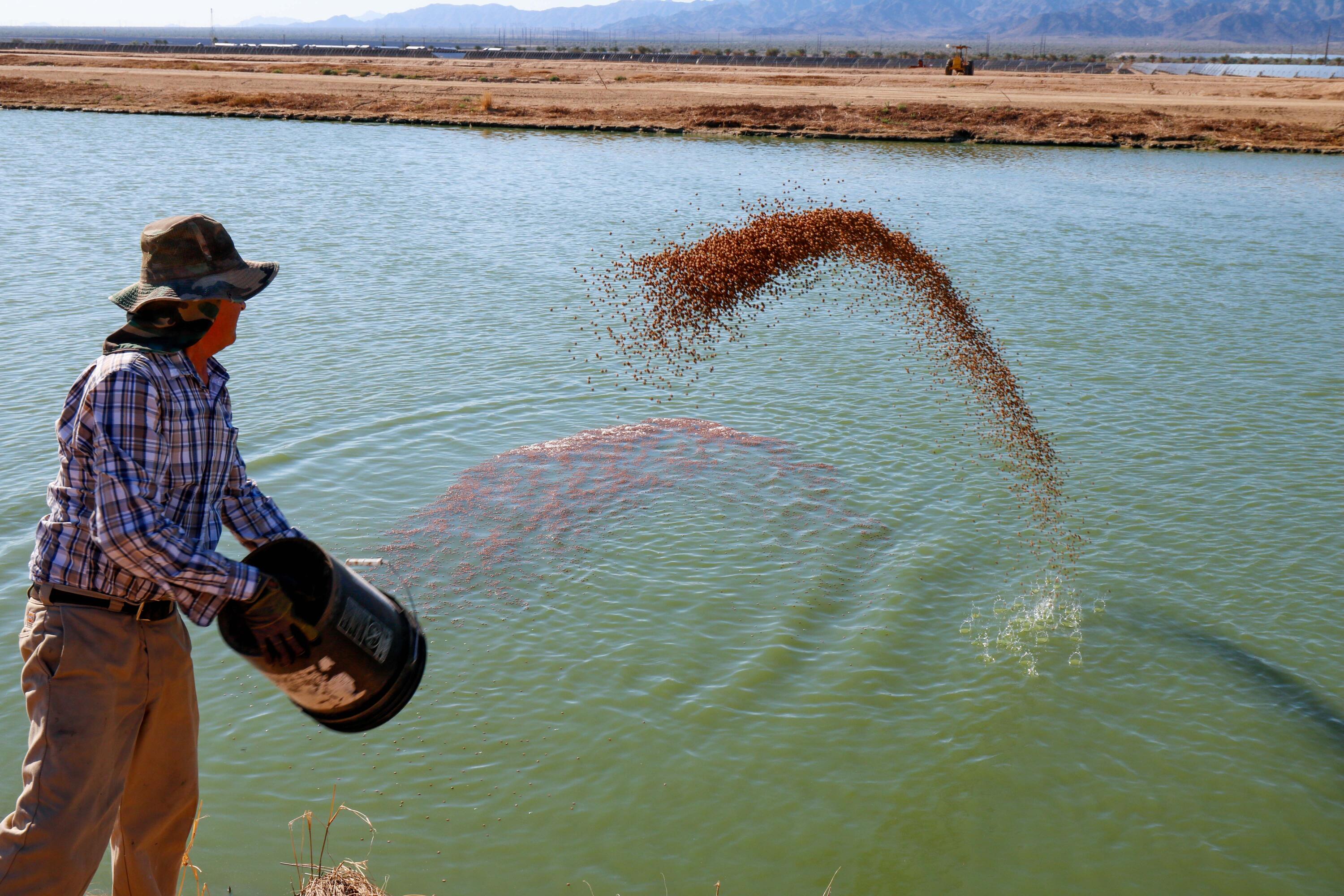 24511 Rice Road Desert Center, CA 92239 - Photo 12 of 65 a view of entryway