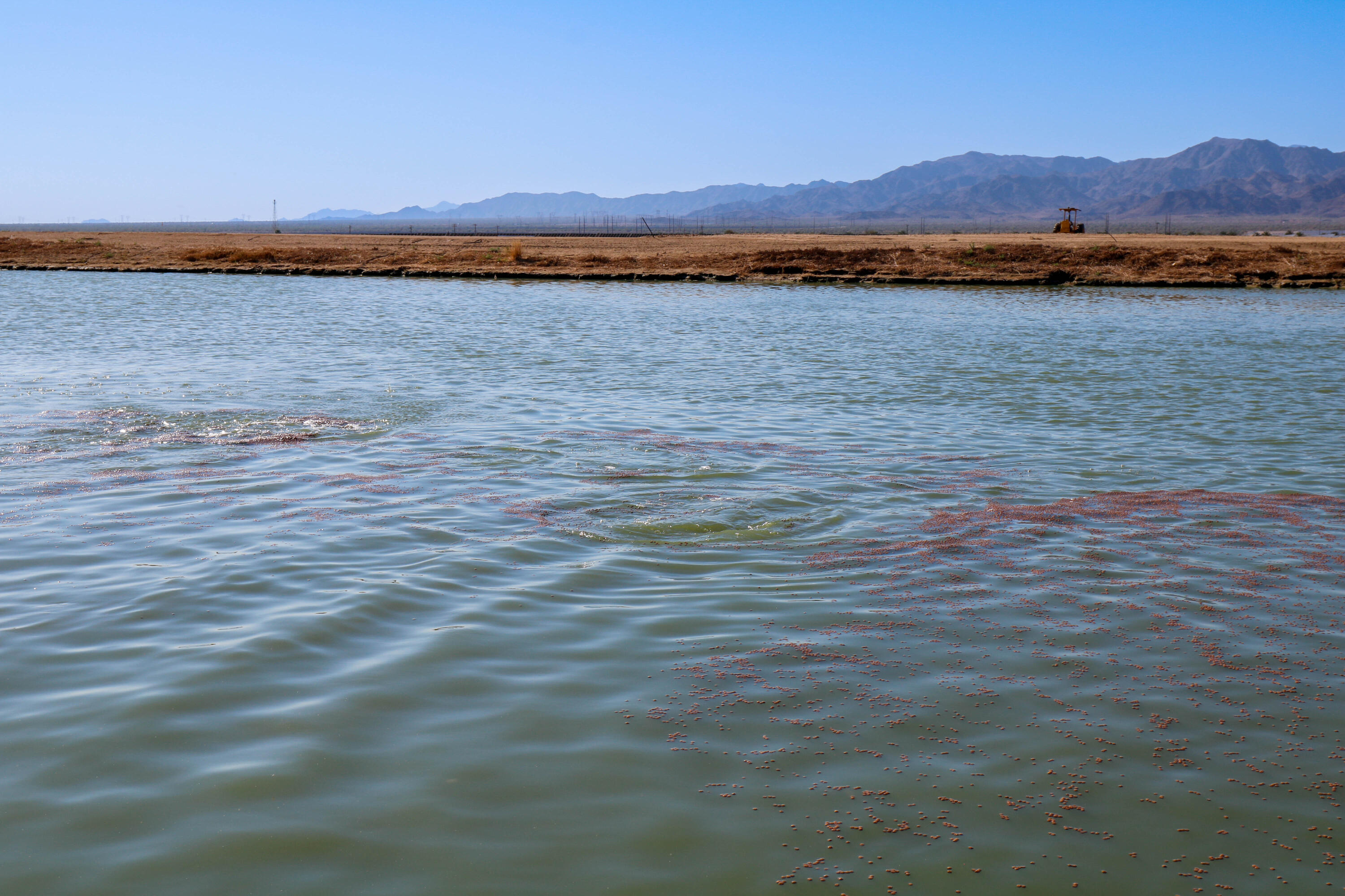 24511 Rice Road Desert Center, CA 92239 - Photo 15 of 65 a view of an ocean and beach