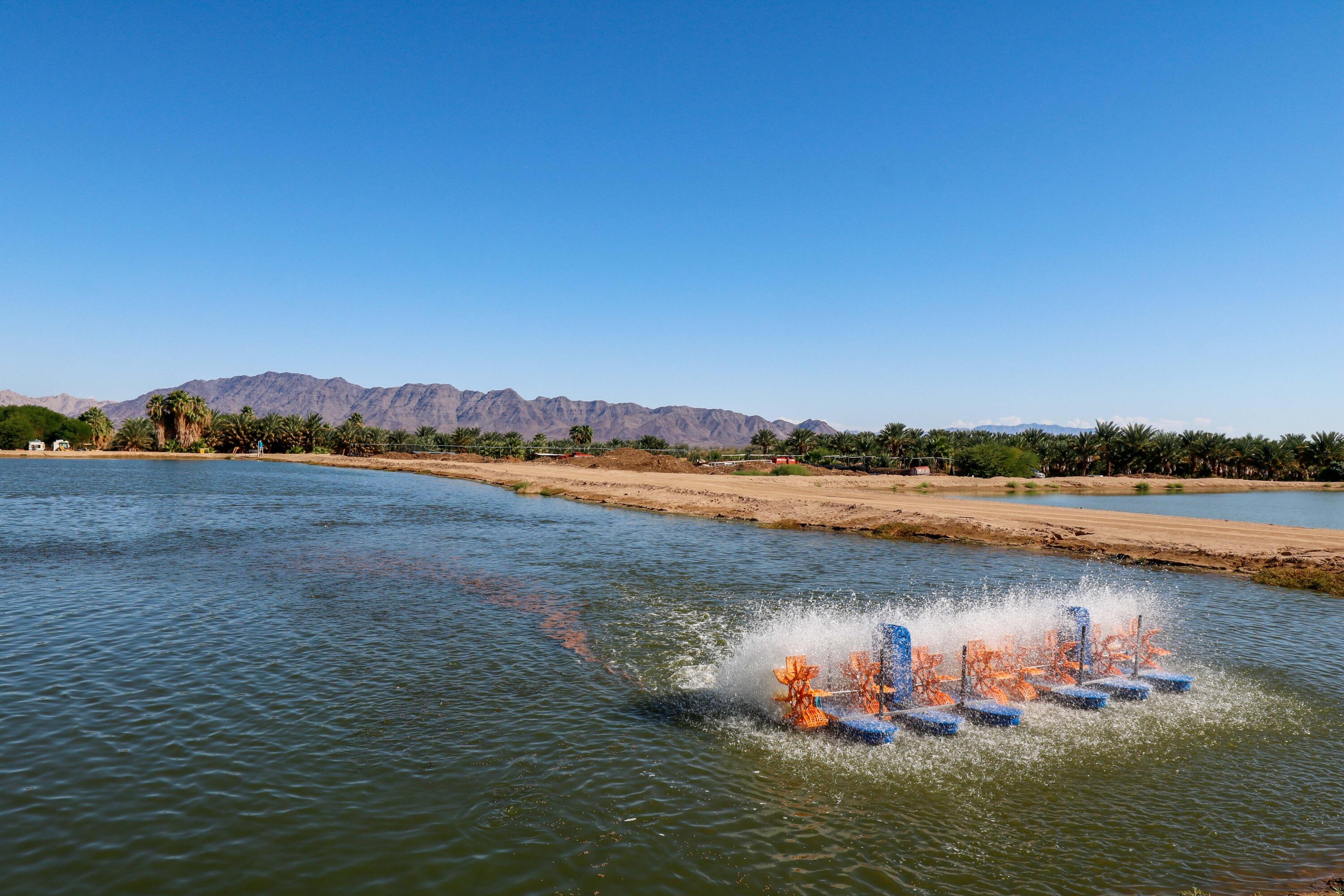 24511 Rice Road Desert Center, CA 92239 - Photo 17 of 65 a view of a lake with houses in the back
