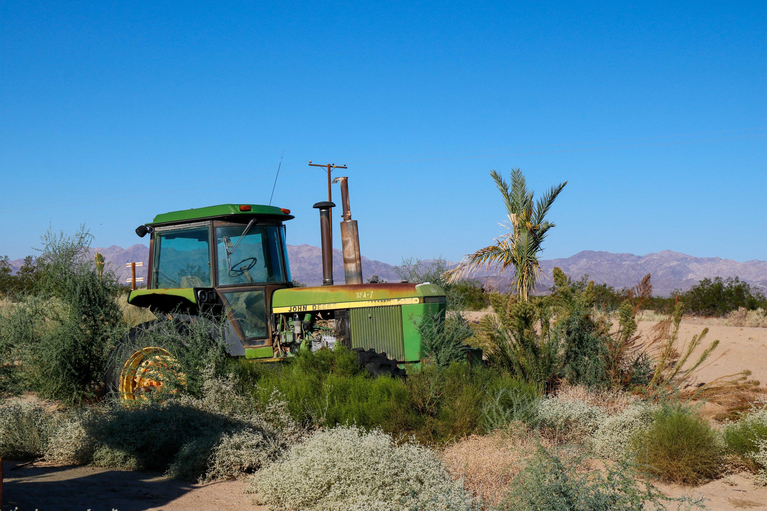 24511 Rice Road Desert Center, CA 92239 - Photo 54 of 65 a house view with a garden space