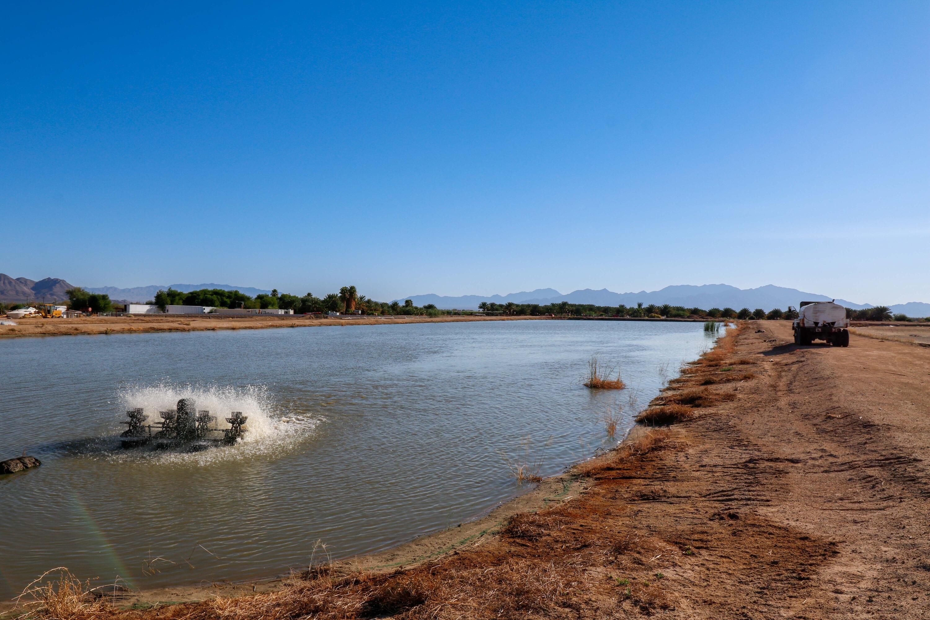 24511 Rice Road Desert Center, CA 92239 - Photo 61 of 65 a view of lake
