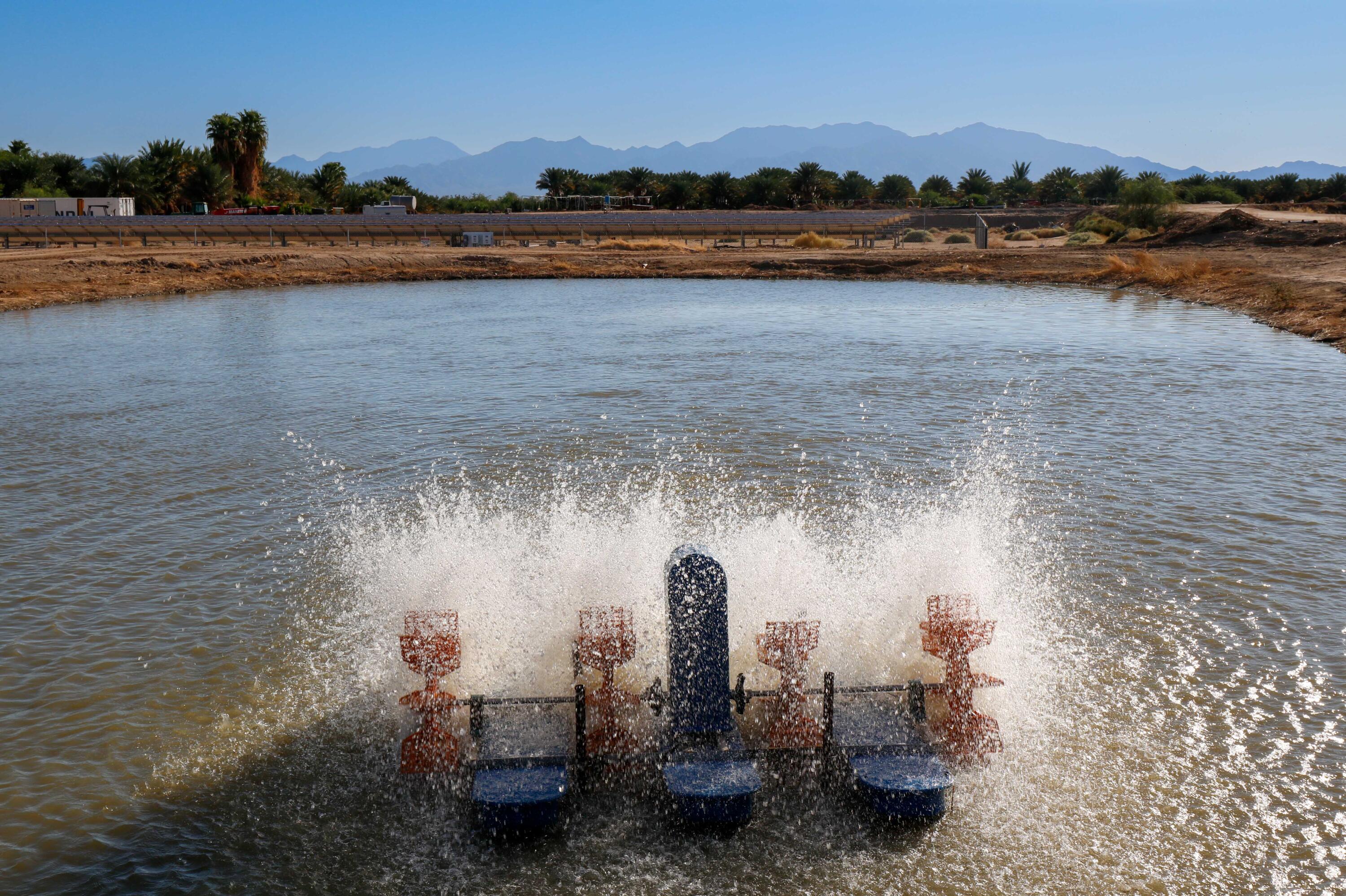 24511 Rice Road Desert Center, CA 92239 - Photo 8 of 65 a view of a lake with houses and lake view