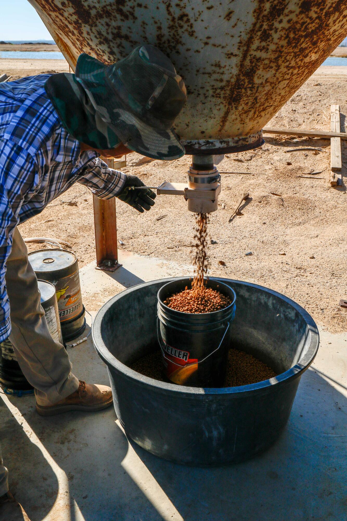 24511 Rice Road Desert Center, CA 92239 - Photo 10 of 65 Fish Pond-29