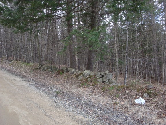 Lot 2 Carter Mountain Road New Hampton, NH 03256 - Photo 3 of 4
