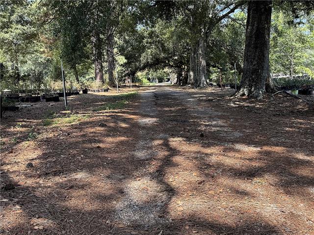 8.8-acres Josephs Road Folsom, LA 70437 - Photo 9 of 12 Gallery Image 9