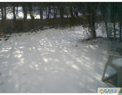 4102 Springbrook Drive Edison, NJ 08820 - Photo 10 of 10