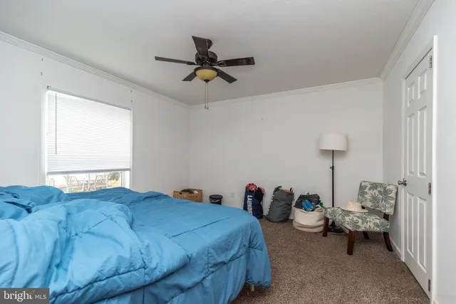 a bedroom with bed and a window