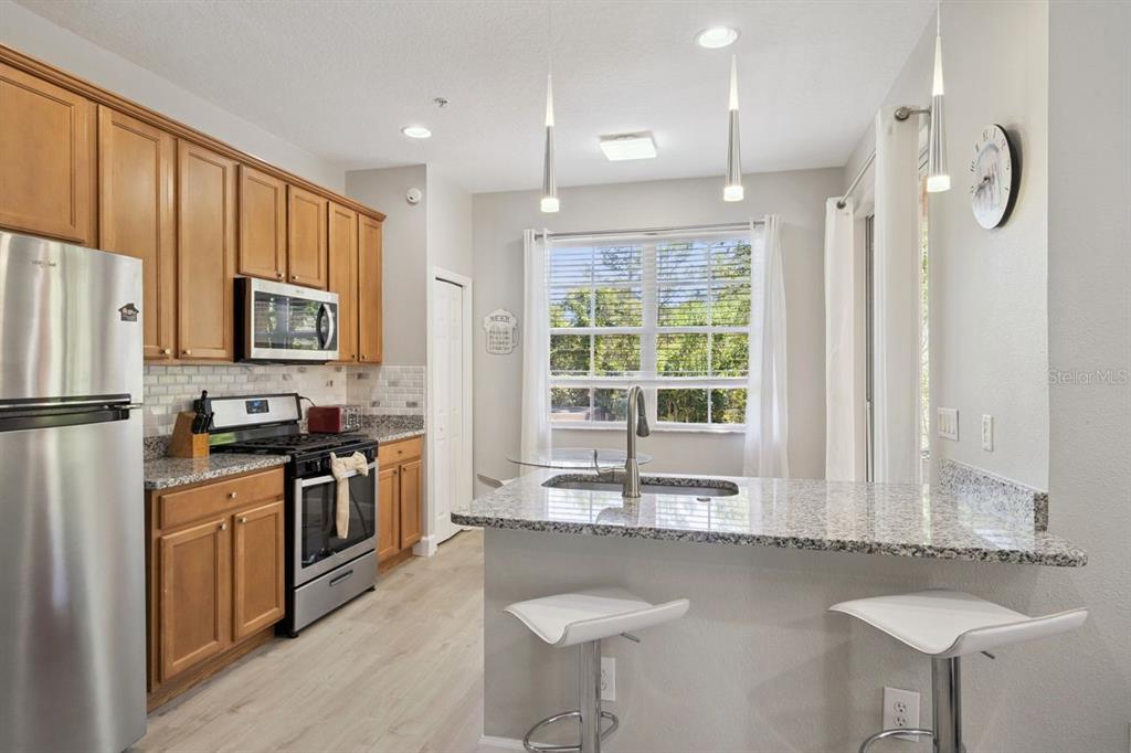 869 Assembly Court Reunion, FL 34747 - Photo 3 of 46