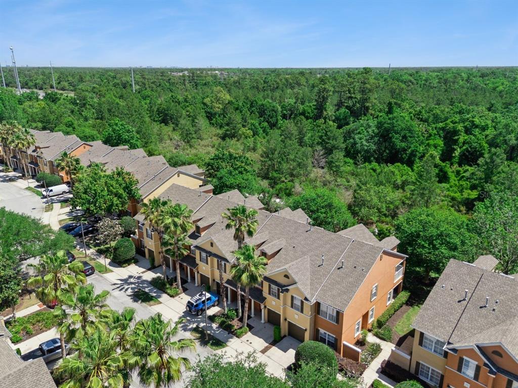 869 Assembly Court Reunion, FL 34747 - Photo 38 of 46