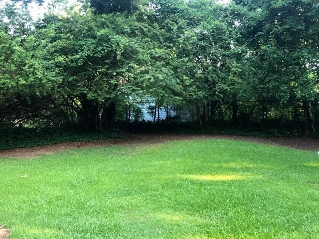 510 Locke Lane Raleigh, NC 27610 - Photo 22 of 23 Backyard