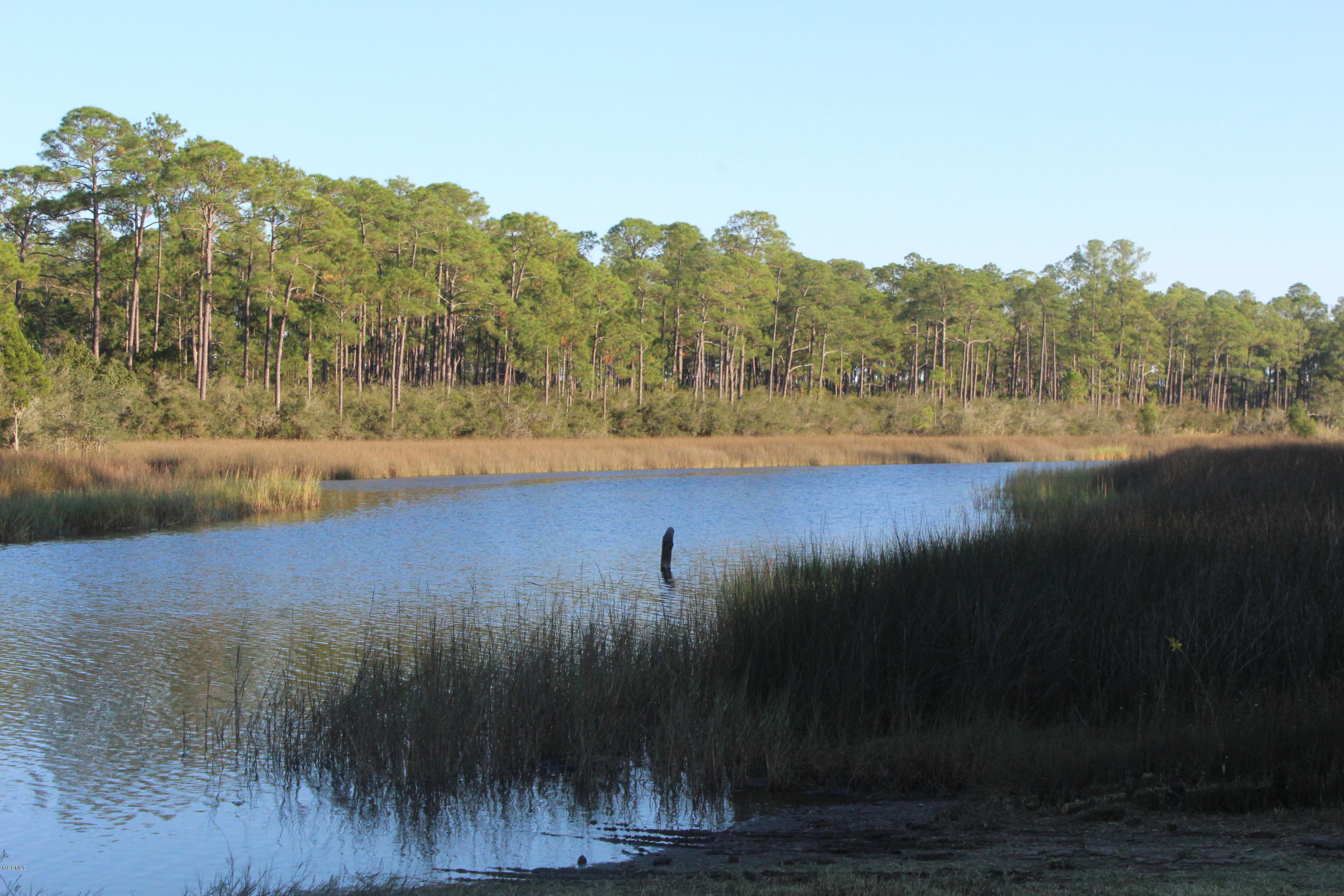 10006 Bayou Cumbest Road Moss Point, MS 39562 - Photo 17 of 21 IMG_4554