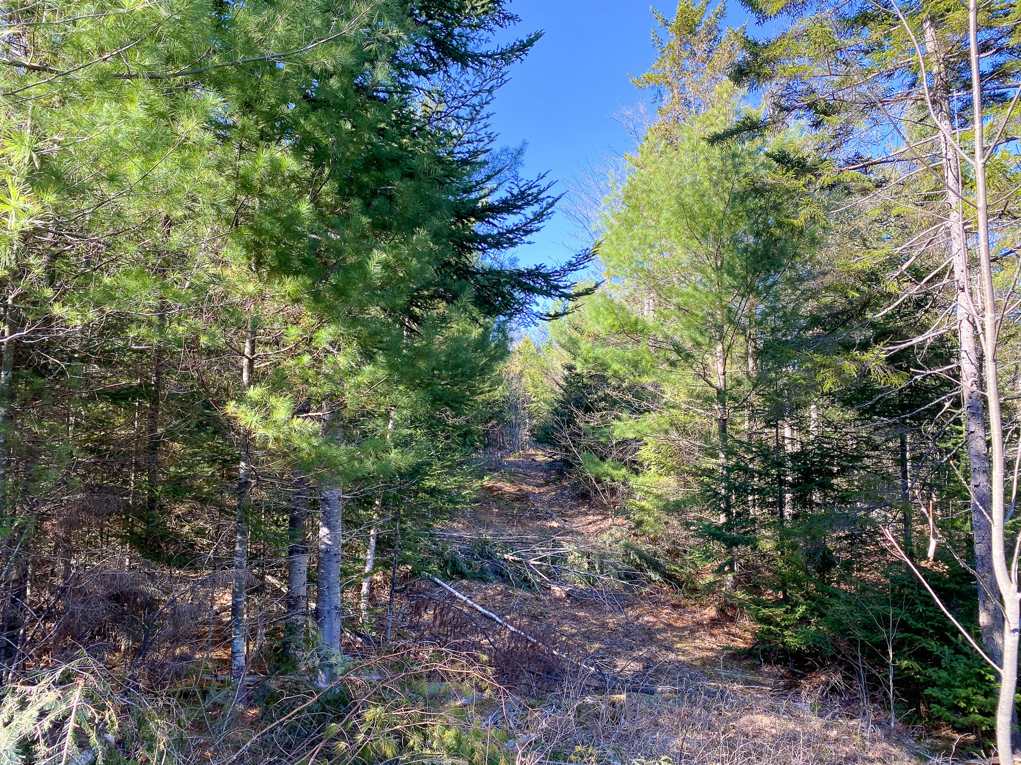 1510 Otis Road Ellsworth, ME 04605 - Photo 11 of 20 IMG_3154