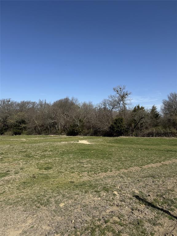 655 Loftice Road Gunter, TX 75058 - Photo 19 of 29 a view of field with trees in background
