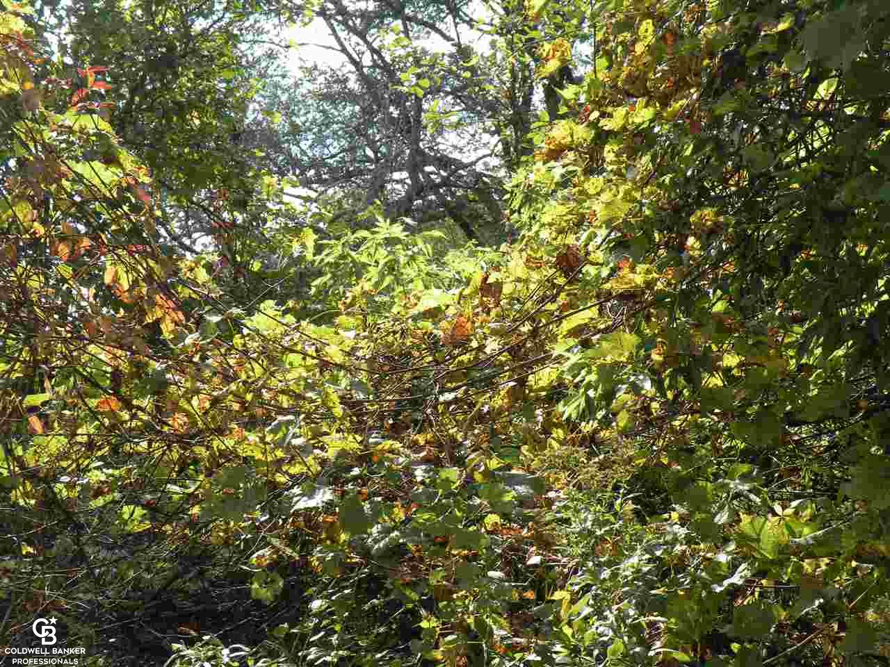 0 Bauman Road Columbus, MI 48063 - Photo 6 of 7