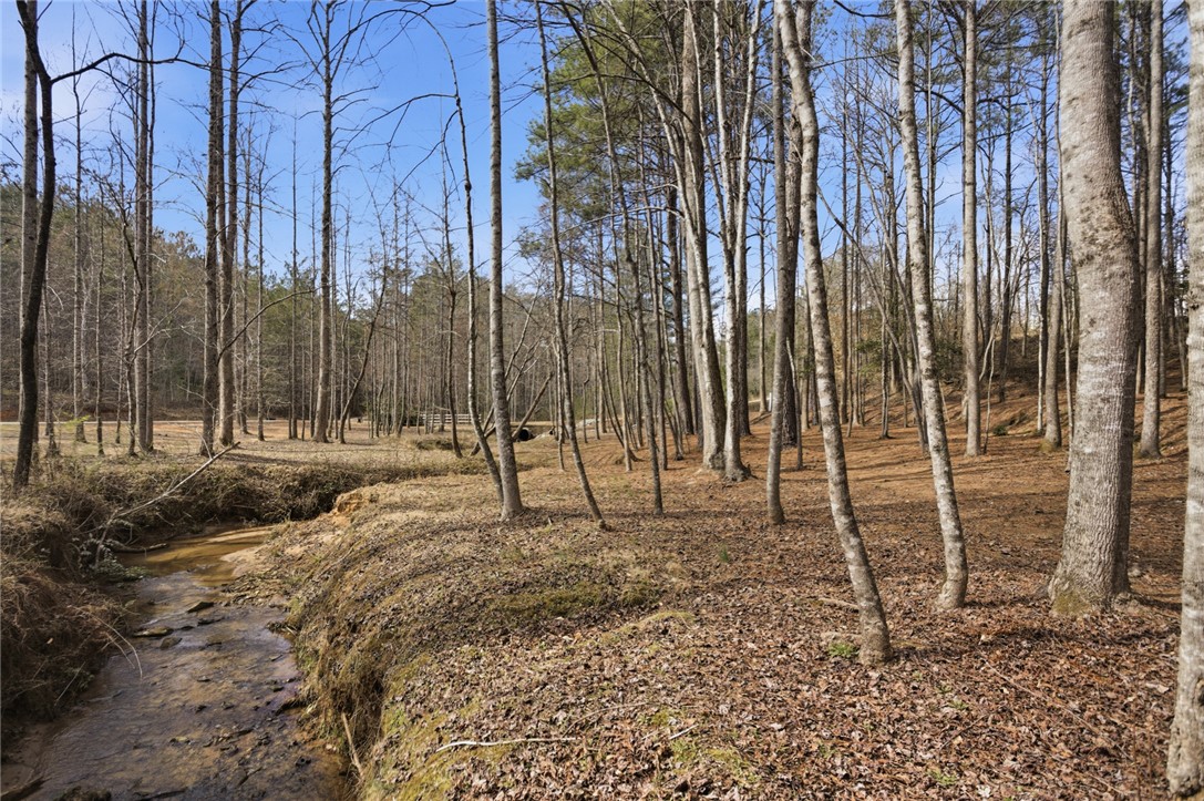 196 Flyroot Trail Pickens, SC 29671 - Photo 6 of 48 A tranquil wooded lot offers a private natural oasis.