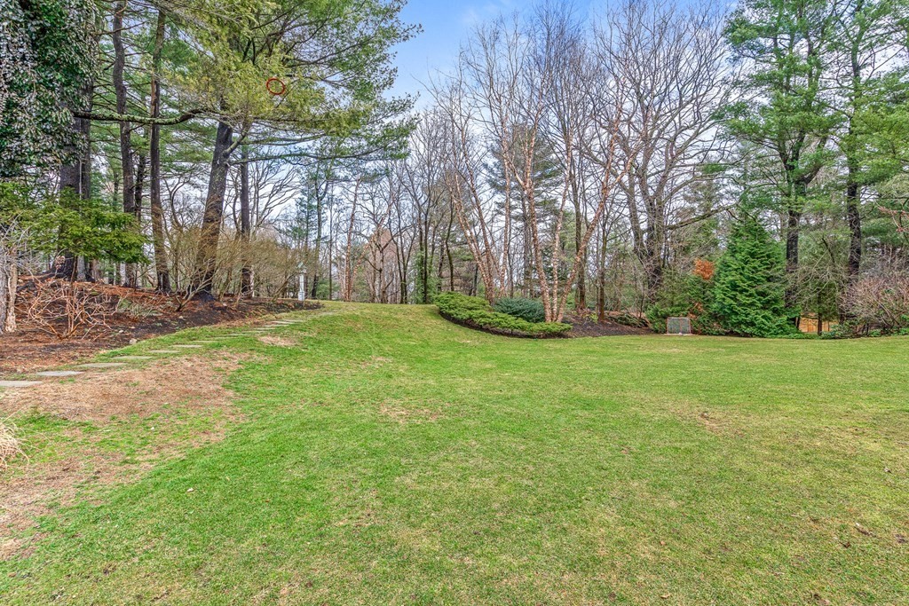 15 Woodcliff Road Wellesley, MA 02481 - Photo 3 of 31 a view of a yard with palm trees
