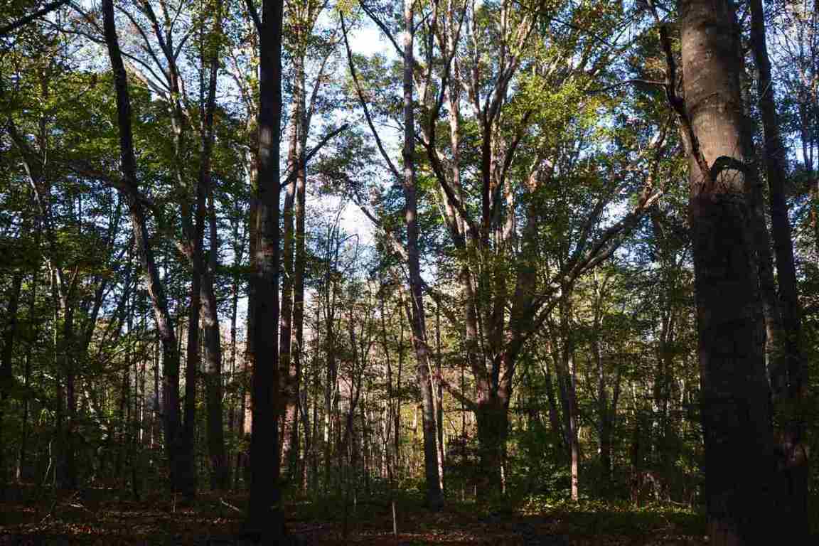 Beacon Light Road Bowersville, GA 30516 - Photo 14 of 16 Gallery Image 14