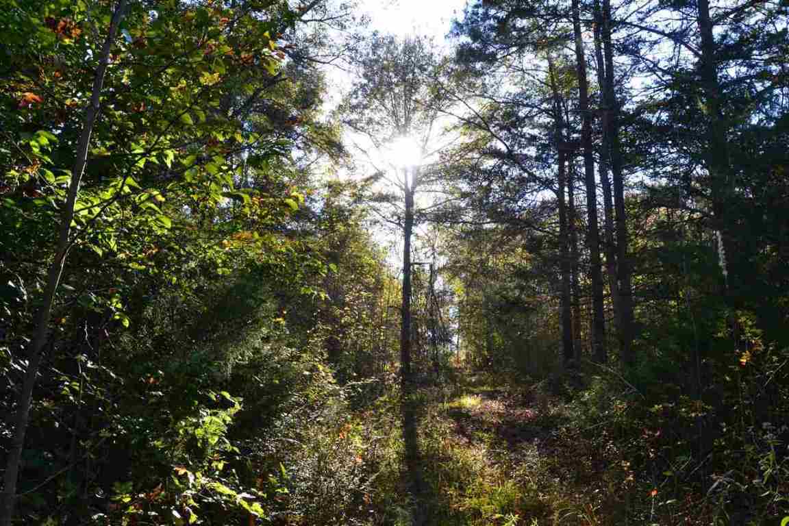 Beacon Light Road Bowersville, GA 30516 - Photo 16 of 16 Gallery Image 16