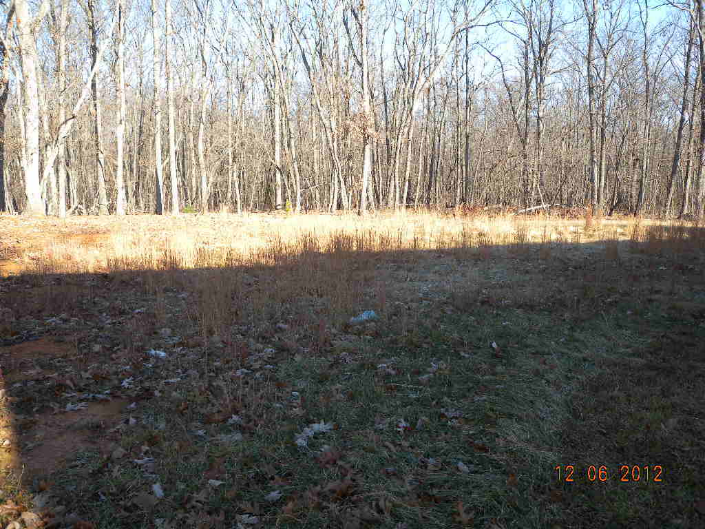 203 Mallard Point Road Wirtz, VA 24184 - Photo 22 of 24 a view of yard