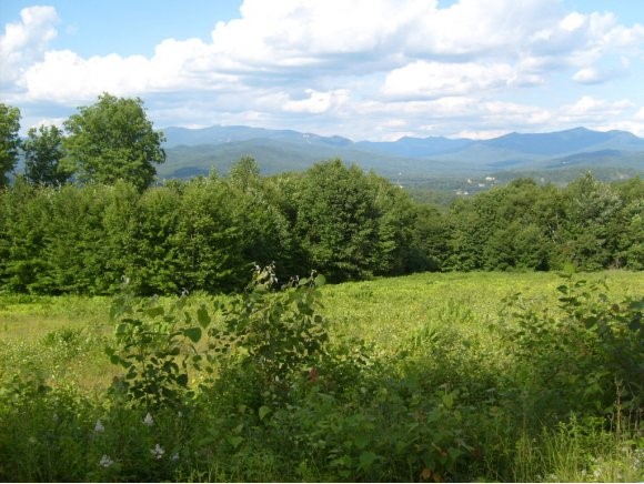 Lot 22 Moose Run Road Campton, NH 03223 - Photo 1 of 1 Gallery Image 1