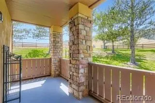 a view of a garden with a slide