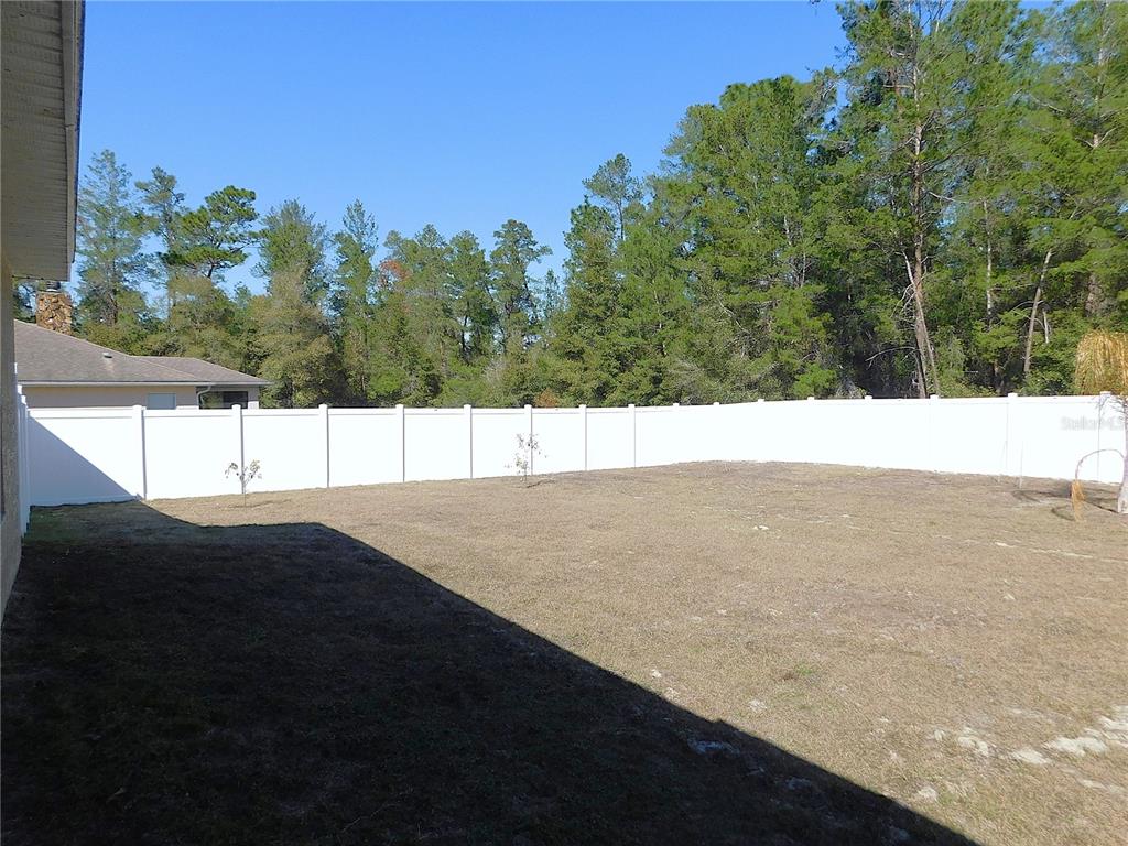 17477 Southwest 36th Terrace Ocala, FL 34473 - Photo 38 of 47 a view of an outdoor space and a yard