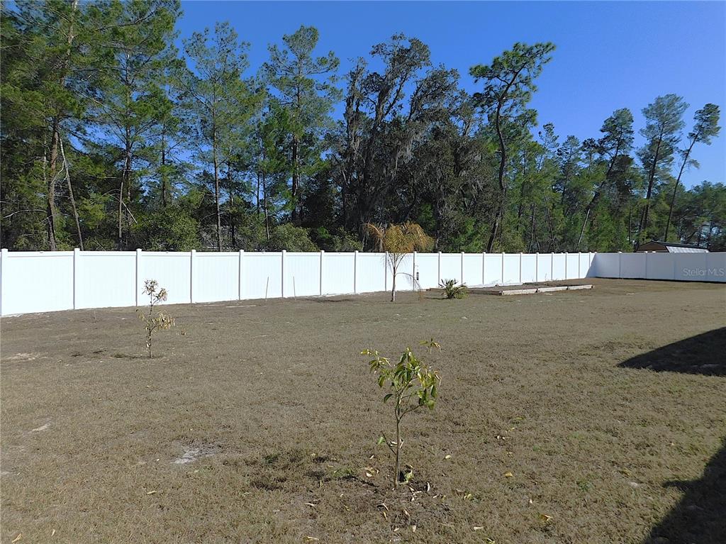 17477 Southwest 36th Terrace Ocala, FL 34473 - Photo 40 of 47 a view of a room