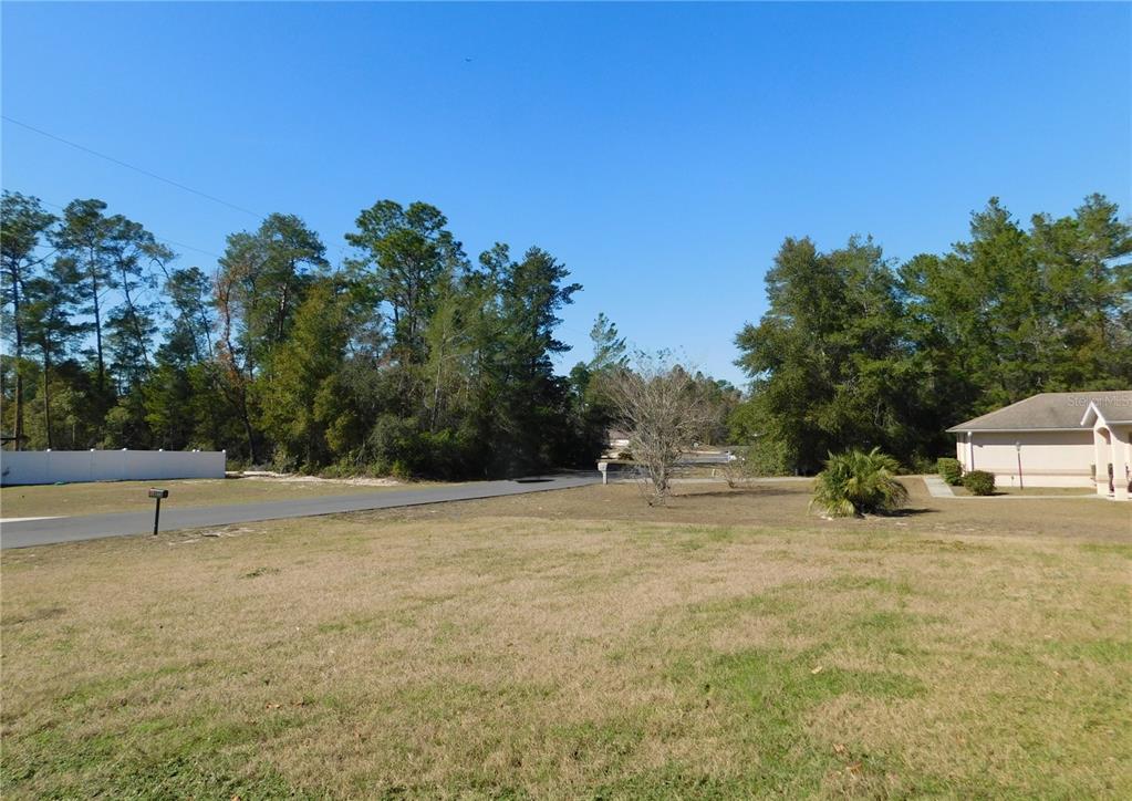 17477 Southwest 36th Terrace Ocala, FL 34473 - Photo 43 of 47 a view of a field with trees in the background