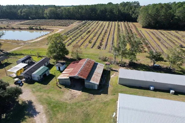 a view of swimming pool with seating area and trees in the background