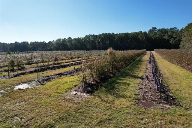 a view of a lake with mountain in the background