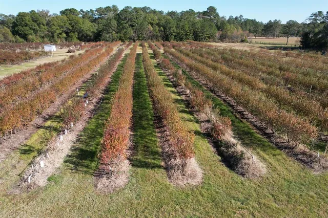 a view of a yard with a lake view