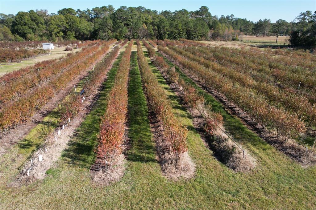 6934 Biscamp Road Silsbee, TX 77656 - Photo 24 of 38 a view of a yard with a lake view