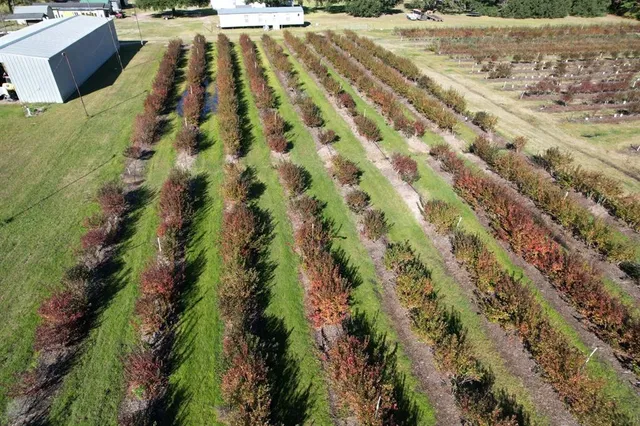 a view of an outdoor space