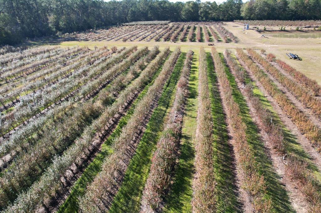 6934 Biscamp Road Silsbee, TX 77656 - Photo 26 of 38 a view of pathway with yard
