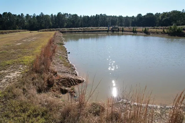 a view of a lake and trees in the background
