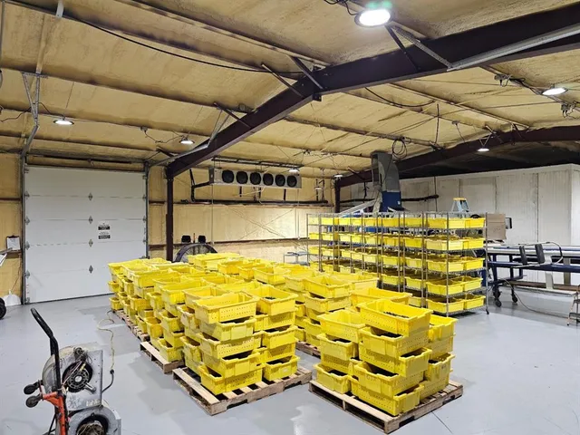 a bed room with a bed and chair