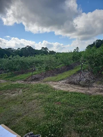 a view of outdoor space and yard