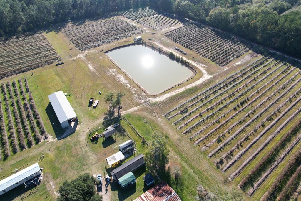 6934 Biscamp Road Silsbee, TX 77656 - Photo 4 of 38 swimming pool view with a couch