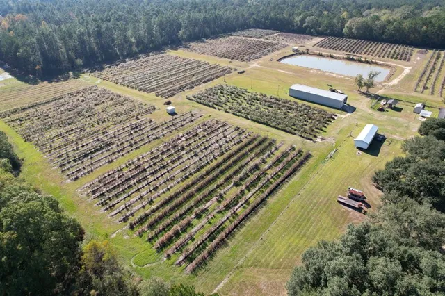 a view of an outdoor space with swimming pool