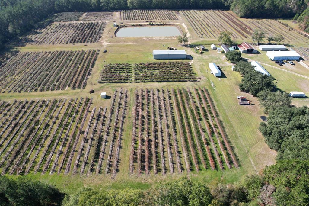 6934 Biscamp Road Silsbee, TX 77656 - Photo 6 of 38 a view of outdoor space with garden and seating area