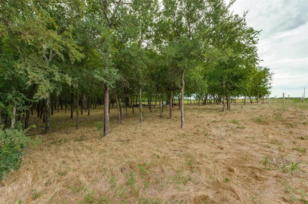 3805 County Road Wolfe City, TX 75496 - Photo 6 of 13 Gallery Image 6