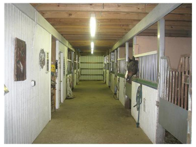 326 Jones Road Cabot, PA 16023 - Photo 11 of 25 Stable/Barn. 19 stall barn